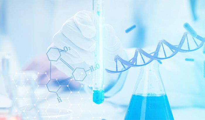 多年專注 經(jīng)驗豐富